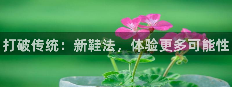 意昂5Kgame2官网：打破传统：新鞋法，体验更多可能性