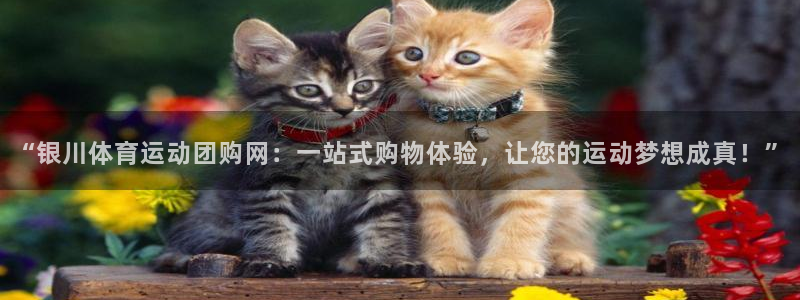 意昂5Kgame体育凯捷平台主管：“银川体育运动团购网：一站式购物体验，让您的运