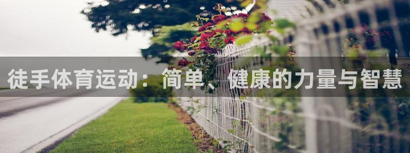 意昂5Kgame电子有限公司：徒手体育运动：简单、健康的力量与智慧