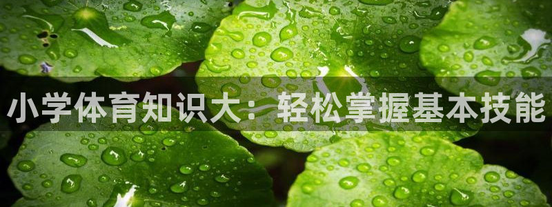 意昂5Kgame凯捷开号链接：小学体育知识大：轻松掌握基本技能