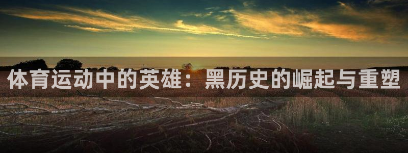 意昂5Kgame体育app下载：体育运动中的英雄：黑历史的崛起与重塑