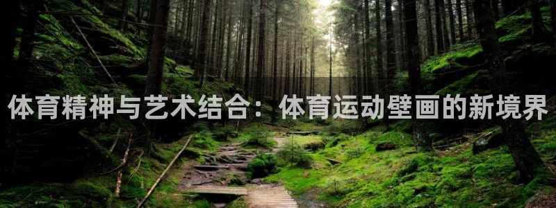 意昂5Kgame体育和杏耀是哪个公司的：体育精神与艺术结合：体育运动壁画的新境界