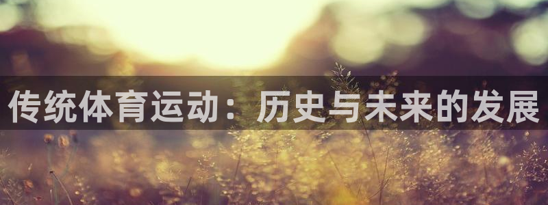 意昂5Kgame平台主管：传统体育运动：历史与未来的发展