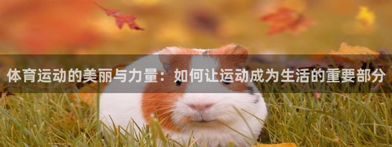 意昂5Kgame体育代理：体育运动的美丽与力量：如何让运动成为生活的重要部分