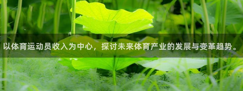 意昂5Kgame平台总代理：以体育运动员收入为中心，探讨未来体育产业的发展与变革