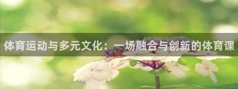 意昂5kgame官网入口：体育运动与多元文化：一场融合与创新的体育课