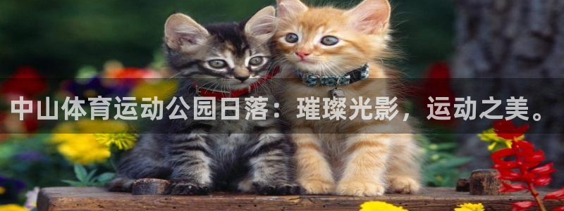意昂5Kgame2代理注册：中山体育运动公园日落：璀璨光影，运动之美。