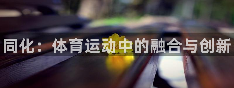 意昂5Kgame体育3在线注册：同化：体育运动中的融合与创新