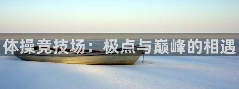 意昂5Kgame平台注册：体操竞技场：极点与巅峰的相遇