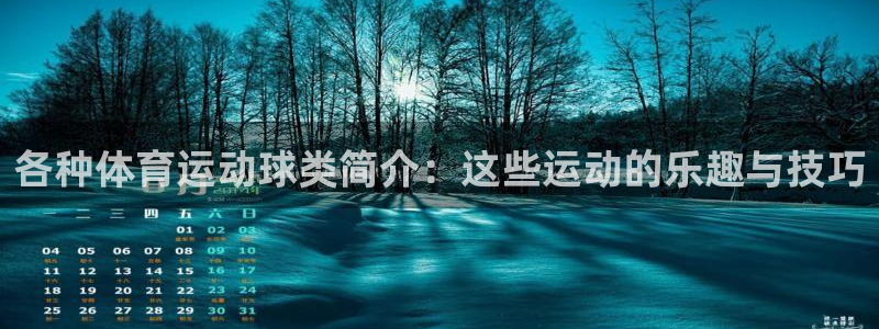 意昂5Kgame代理：各种体育运动球类简介：这些运动的乐趣与技巧