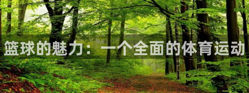 意昂5Kgame体育代理申请流程：篮球的魅力：一个全面的体育运动