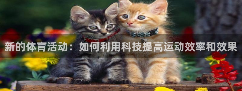 意昂5Kgame3官网：新的体育活动：如何利用科技提高运动效率和效果