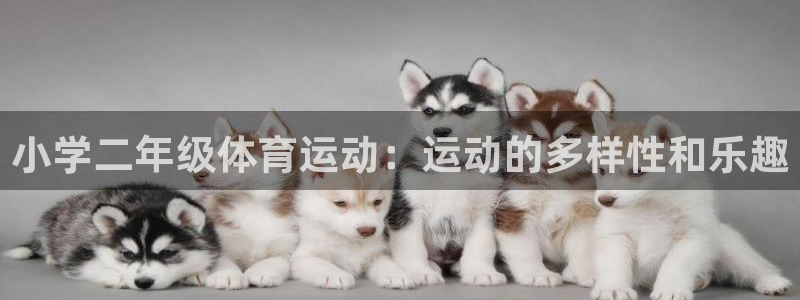 意昂5Kgamef凯捷平台在线注册：小学二年级体育运动：运动的多样性和乐趣