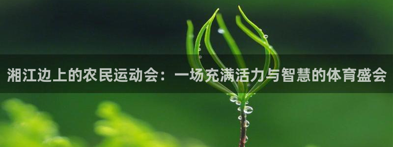 意昂5Kgame集团总部：湘江边上的农民运动会：一场充满活力与智慧的体育盛会